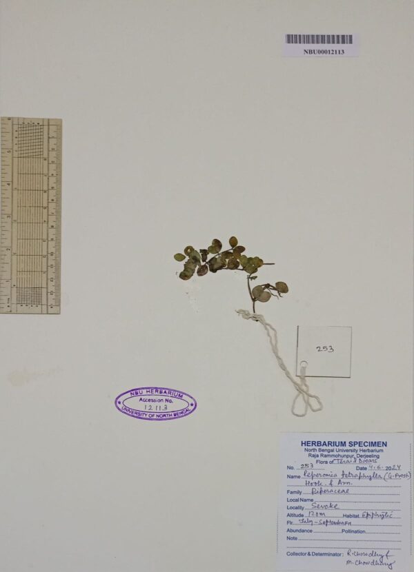 .trashed-1767181102-DocScanner 1 Dec 2025 3-23 pm